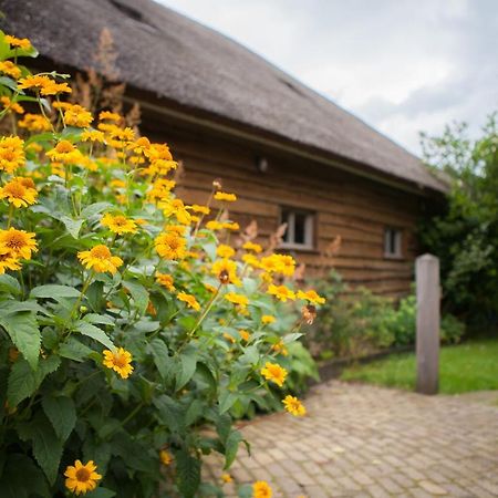 Aan De Aelder Esch Bed & Breakfast Aalden Luaran gambar