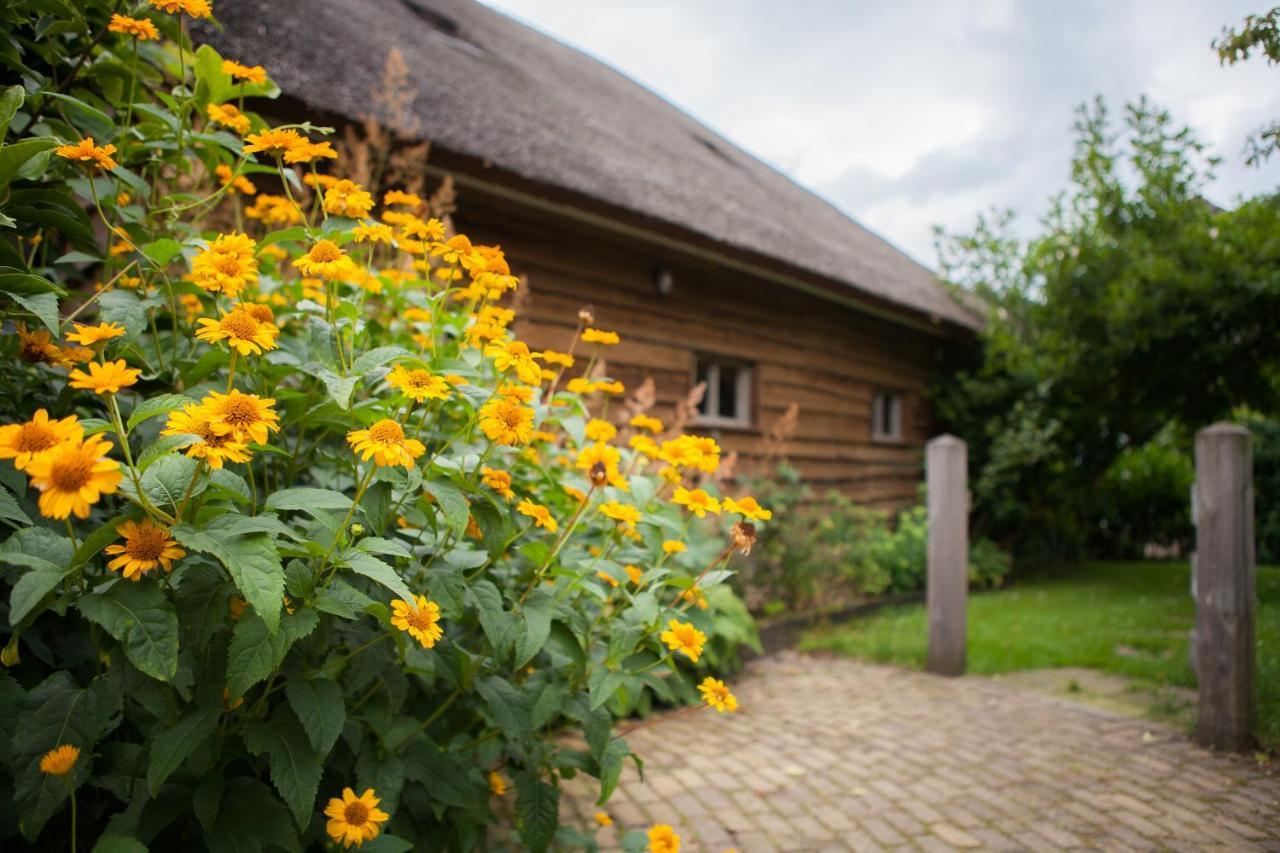 Aan De Aelder Esch Bed & Breakfast Aalden Luaran gambar
